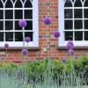 Manor House Garden