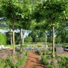Large Garden